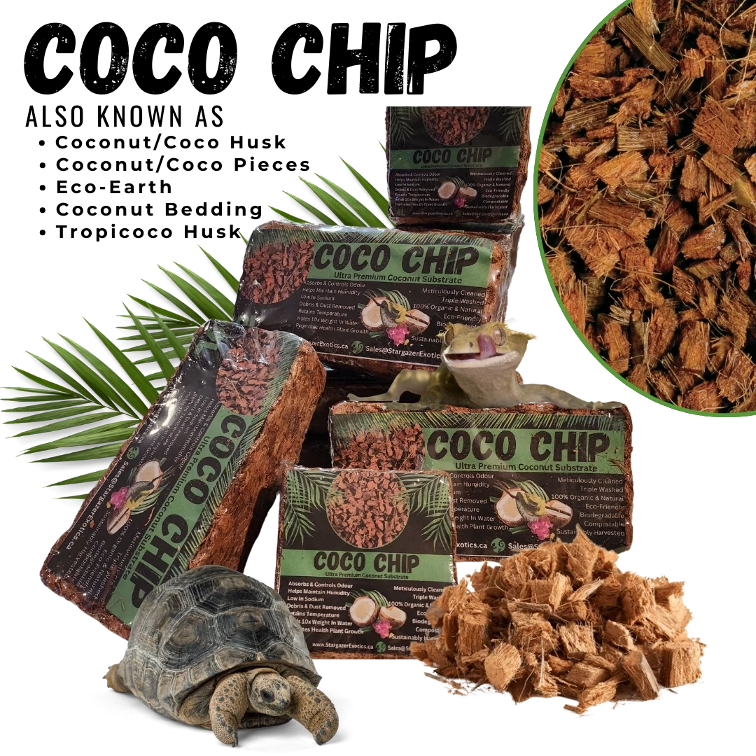 Coco Chips & Husk for Plants | Stargazer Exotics