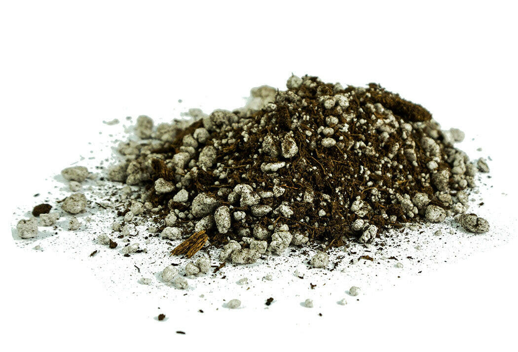 Carnivorous Plant Soil size 1 QT