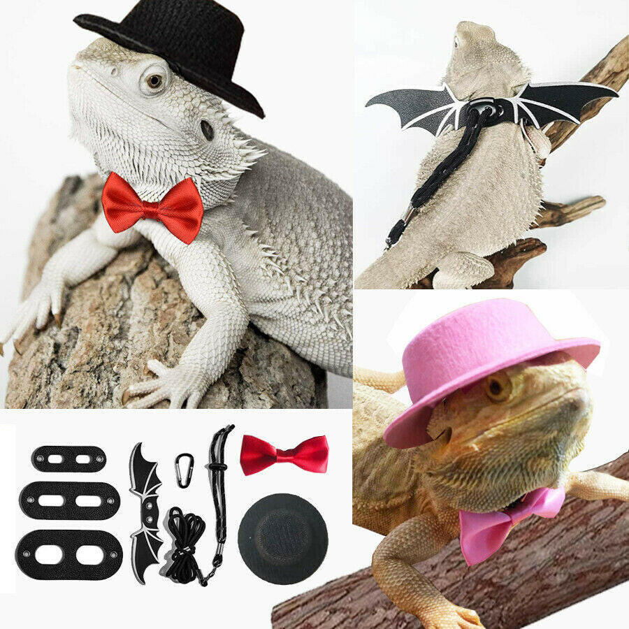 Reptile Top Hat Size Large Hat