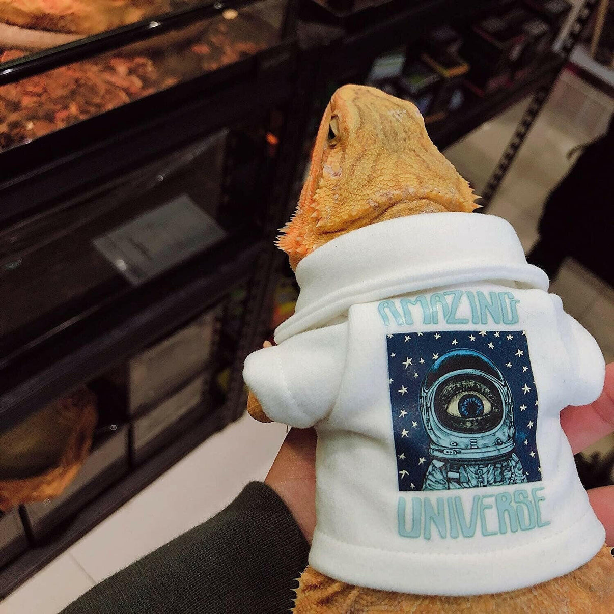 Bearded Dragon Shirt Size Small