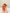 Pumpkin Hat for Reptiles | reptile and terrarium supplies