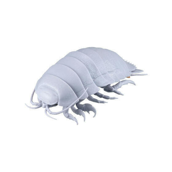Bandai DangoMushi Pillbugs / Isopods Colour SERIES 05 - GIANT SEA ISOPOD