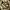 Three-to-six-inch moss-covered bark pieces for natural terrarium and vivarium hardscape