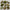 Natural hardwood bark with lush live moss and pale green lichens for terrarium décor