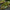 Mossy hardwood bark pieces for bioactive terrarium décor and natural reptile hardscape