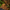 Natural rattan pods scattered among leaf litter inside a tropical reptile enclosure