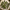 Moss-covered branches arranged as natural terrarium hardscape and reptile decor