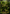 arboreal habitat crafting climbing vines branch coverage naturalistic display build inspiration capture