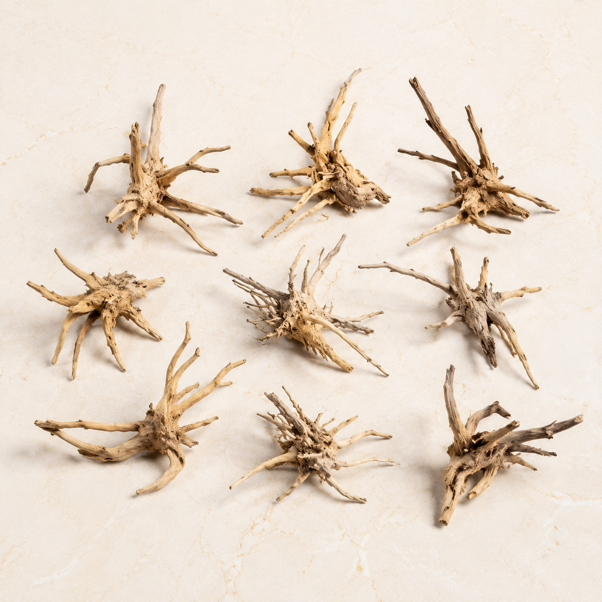 Spider wood for aquarium aquascapes used as aquarium Spiderwood, aquarium driftwood, aquarium hardscape wood, aquascape driftwood and aquascaping branches